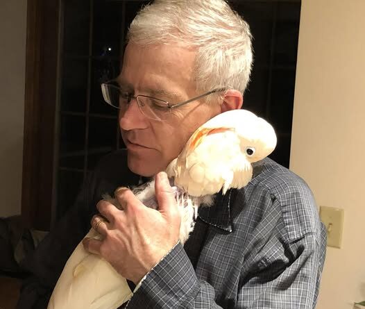 Brad Gengenbach Milford, NE Death, Obituary: Honoring a Veterinary Leader